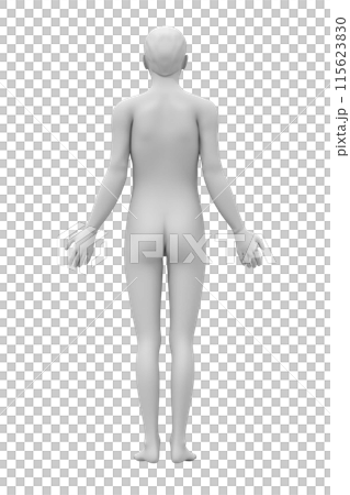 男性の体, 3D モデル, 背面 男性の体, 3D モデル, 背面 115623830
