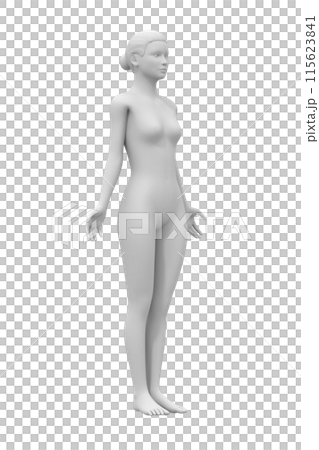 Female body, 3D model, side view 115623841