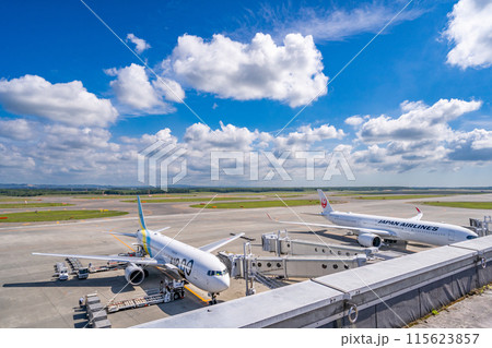 新千歳空港　国内線ターミナル 115623857