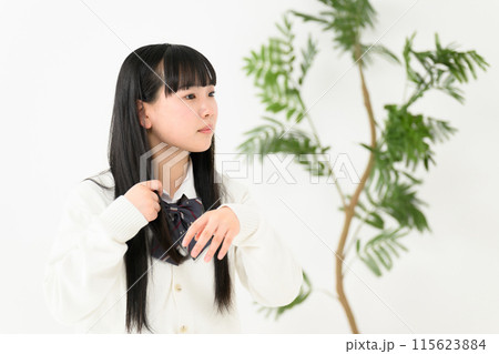 枝毛を気にする女子高生　 115623884