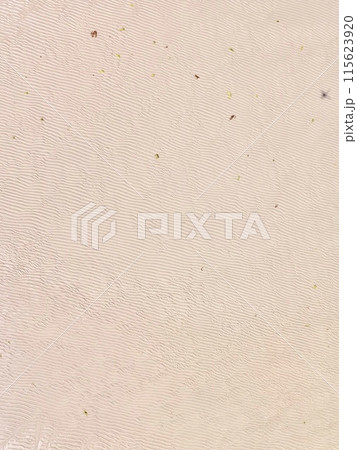 砂浜・砂紋〜ドローンで空撮（沖縄県うるま市） 115623920