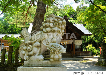 新潟県上越市の勝負の神様を祀る春日山神社 新潟県上越市の勝負の神様を祀る春日山神社 115624761