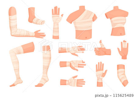 Bandaged body. Medical anatomy pictures of different human body legs and arms exact vector bandage illustration Bandaged body. Medical anatomy pictures of different human body legs and arms exact vector bandage illustration 115625489