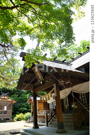 新潟県上越市の勝負の神様を祀る春日山神社 新潟県上越市の勝負の神様を祀る春日山神社 115625695