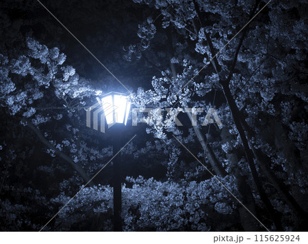 【青森】弘前公園の満開の桜ライトアップ 115625924