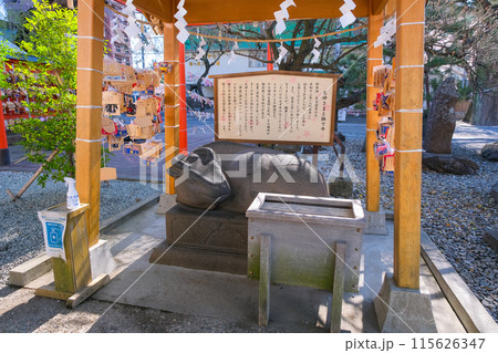 宮城県仙台市 榴岡天満宮 撫で牛 115626347