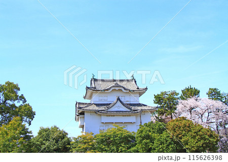 愛知県名古屋市、満開の桜と名古屋城東南隅櫓の風景 115626398