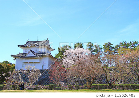 愛知県名古屋市、満開の桜と名古屋城東南隅櫓の風景 115626405