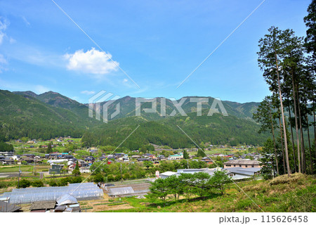 《岐阜県》新緑の季節を迎えた中津川市加子母の風景 115626458