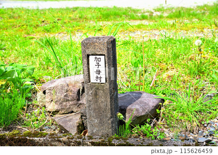 《岐阜県》新緑の季節を迎えた中津川市加子母の風景 115626459