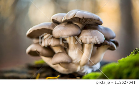 Group of Mushrooms on Forest Floor. Generative AI Group of Mushrooms on Forest Floor. Generative AI 115627041