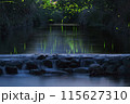 水面に映るゲンジボタル 115627310