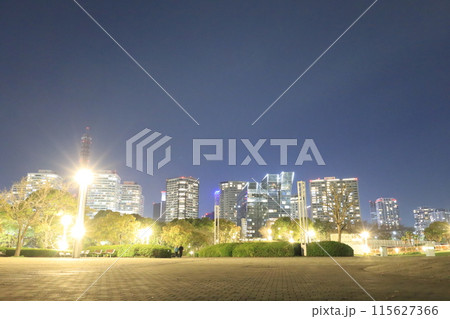 横浜みなとみらい最大の緑地 臨港パークの夜景 横浜みなとみらい最大の緑地 臨港パークの夜景 115627366