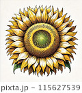 大きなひまわりの花 115627539