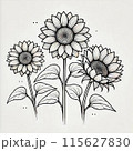 手書きで描いたひまわり 115627830
