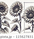 水彩で描いたひまわりの花束 115627831