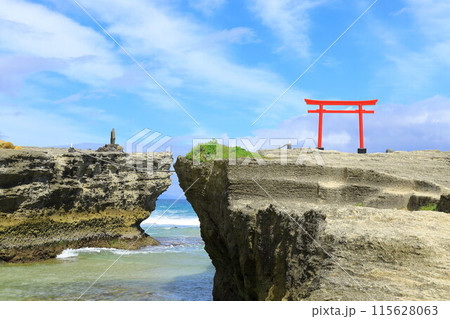 《静岡県》伊豆白浜海岸・エメラルドグリーンの美しいビーチ 115628063