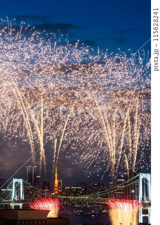 東京の空を華麗に彩るお台場花火 115628241
