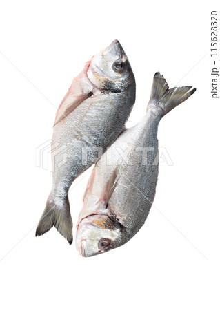 Two spent and cleaned dorada fish isolated on white background. 115628320