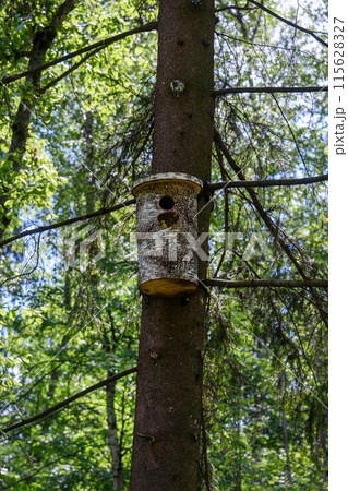 Birdhouse made of birch trunk mounted on a tree trunk. Birdhouse made of birch trunk mounted on a tree trunk. 115628327