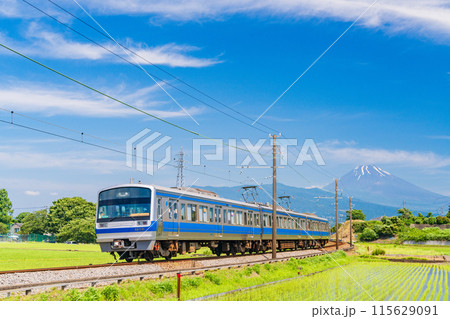 （静岡県）田植えの済んだ水田を走る伊豆箱根鉄道の電車 115629091