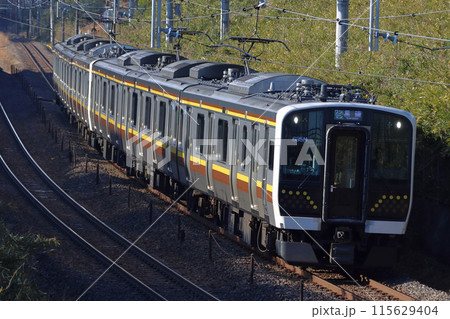 宇都宮線E131系（6両編成：宇都宮⇔黒磯） 115629404