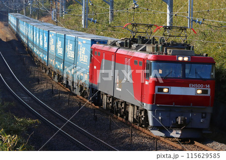 東北本線を行く貨物列車:トヨタ・ロングパス・エクスプレス(栃木県内) 東北本線を行く貨物列車:トヨタ・ロングパス・エクスプレス(栃木県内) 115629585