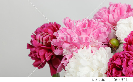 beautiful peonies on a white background beautiful peonies on a white background 115629713
