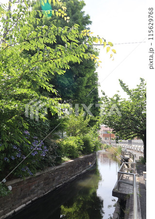 東京都足立区 見沼代親水公園 東京都足立区 見沼代親水公園 115629768