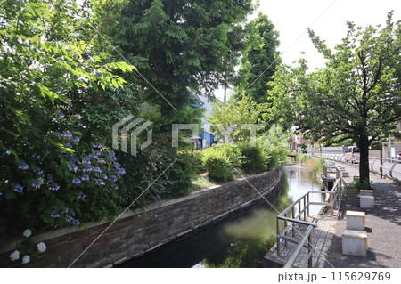 東京都足立区 見沼代親水公園 115629769