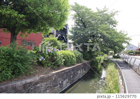 東京都足立区 見沼代親水公園 東京都足立区 見沼代親水公園 115629770