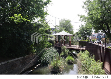 東京都足立区 見沼代親水公園 東京都足立区 見沼代親水公園 115629771