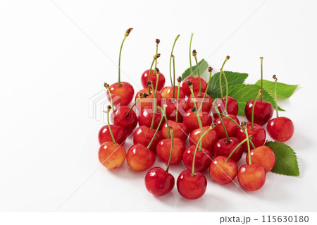 白バックのさくらんぼ 115630180