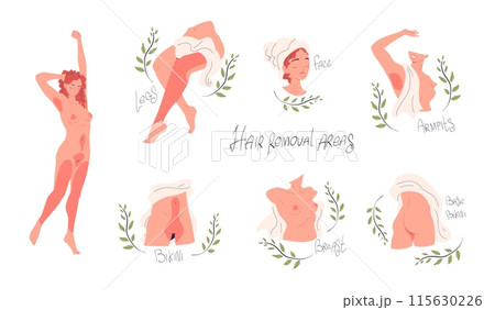 Hair removal area. Girl woman beauty depilation zone shaving wax or laser epilation brazilian bikini female model infographic, smoothness skin Hair removal area. Girl woman beauty depilation zone shaving wax or laser epilation brazilian bikini female model infographic, smoothness skin 115630226