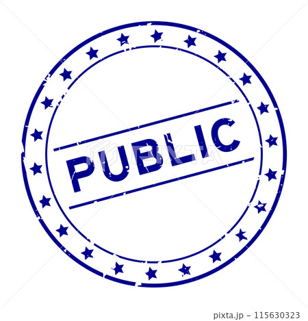 Grunge blue public word round rubber seal stamp on white background 115630323