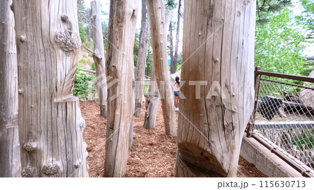 An outdoor play area featuring tall wooden poles and natural surroundings, with children seen in the background. The image captures the rustic and adventurous atmosphere of the play space. 115630713