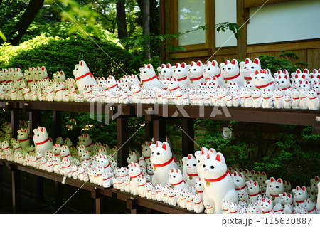 日本 東京 大谿山 豪徳寺 招き猫 日本 東京 大谿山 豪徳寺 招き猫 115630887