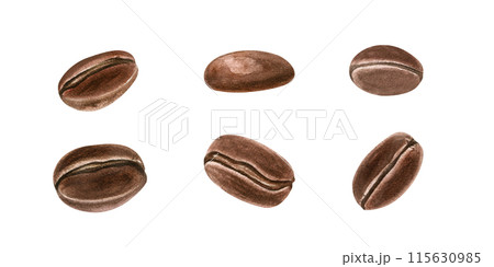 Six roasted coffee beans with detailed textures. Realistic plant brown seeds. Aromatic grains. Organic raw food. Watercolor illustration. For cafe settings or coffee product promotions Six roasted coffee beans with detailed textures. Realistic plant brown seeds. Aromatic grains. Organic raw food. Watercolor illustration. For cafe settings or coffee product promotions 115630985