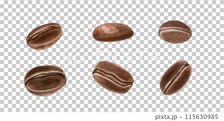 Six roasted coffee beans with detailed textures. Realistic plant brown seeds. Aromatic grains. Organic raw food. Watercolor illustration. For cafe settings or coffee product promotions 115630985