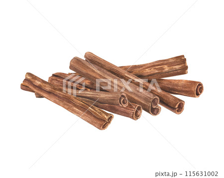 Cinnamon Sticks. Spice heap. Versatile culinary ingredient with their aromatic essence. For recipes, both sweet and savory. Cooking and baking seasoning. Watercolor illustration of winter spices Cinnamon Sticks. Spice heap. Versatile culinary ingredient with their aromatic essence. For recipes, both sweet and savory. Cooking and baking seasoning. Watercolor illustration of winter spices 115631002