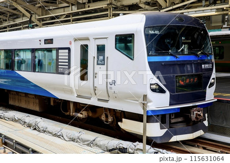 東京駅に停車中のE257系特急踊り子 東京駅に停車中のE257系特急踊り子 115631064