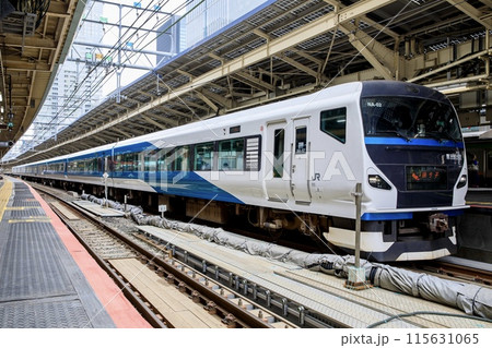 東京駅に停車中のE257系特急踊り子 東京駅に停車中のE257系特急踊り子 115631065