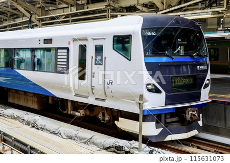 東京駅に停車中のE257系特急踊り子 東京駅に停車中のE257系特急踊り子 115631073