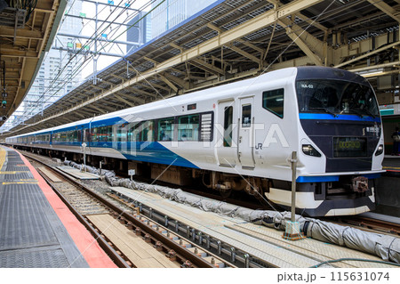 東京駅に停車中のE257系特急踊り子 115631074