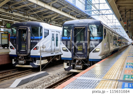 東京駅に停車中のE257系特急踊り子の並び 東京駅に停車中のE257系特急踊り子の並び 115631084