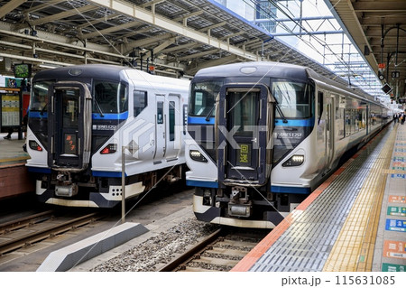 東京駅に停車中のE257系特急踊り子の並び 115631085