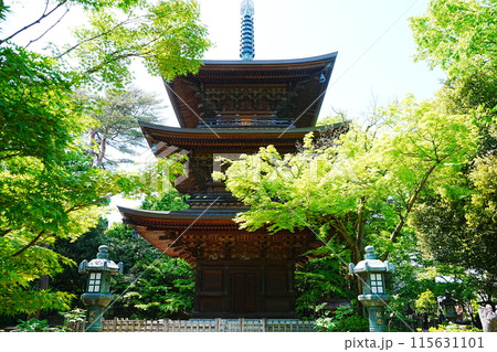 日本 東京 大谿山 豪徳寺 三重塔 日本 東京 大谿山 豪徳寺 三重塔 115631101