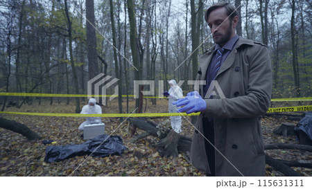 Detective donning protective gloves upon arriving at the crime scene, ready to examine the victim in a body bag 115631311
