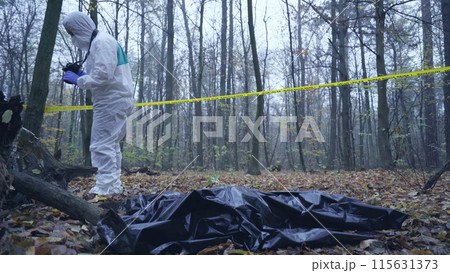 Forensic expert photographs the crime scene, with the victim's body lying on the ground in a bag Forensic expert photographs the crime scene, with the victim's body lying on the ground in a bag 115631373