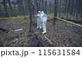 Forensic scientist examining a hazardous part of the forest wearing protective suits, assessing damage 115631584
